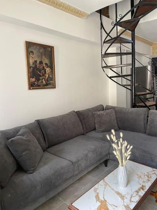 Modern And Classic House Old Down Apartment *